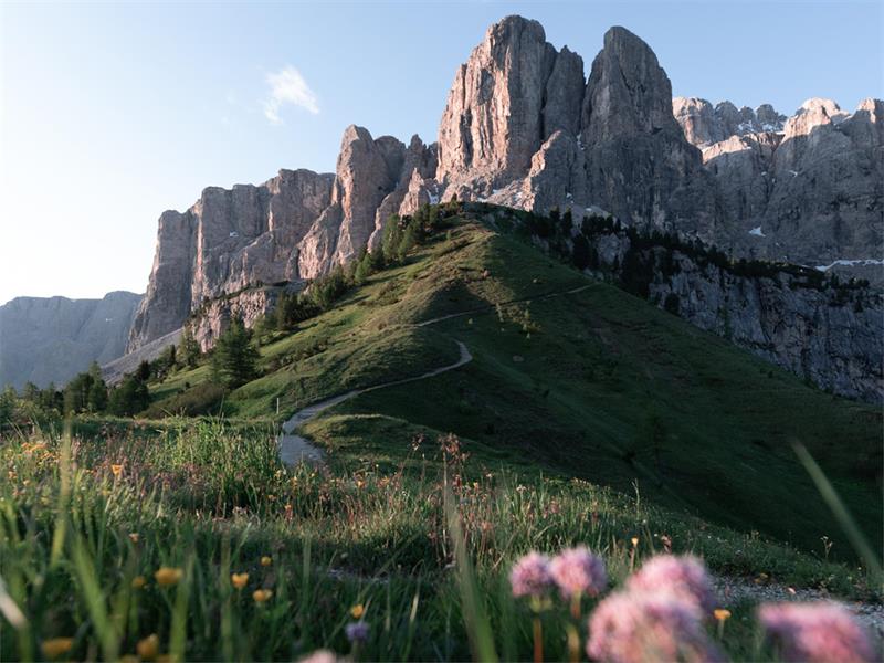 Foto per Esplorando i sentieri dolomitici: Dal Sas Ciampac alla Valle Stella Alpina
